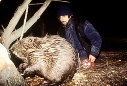 Tomas Hulik und das Biberweibchen Rachel.