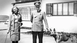 Das unbestritten prominenteste Tier im Dritten Reich ist Blondie, Adolf Hitlers Schäferhund. Das unbestritten prominenteste Tier im Dritten Reich ist Blondie, Adolf Hitlers Schäferhund.