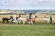 SWR LECKER AUFS LAND, "Zu Gast bei Heike Schiltz in der Südeifel", am Montag (22.09.25) um 20:15 Uhr im SWR. Die Landfrauen unternehmen mit Heikes Ehemann Stefan eine Wanderung mit den Alpakas.  v.li.: Anne-Christin Trautwein, Michaela Pistono, Lara Jenner, Sonja Müller, Petra Waldraff, Stefan Schiltz
