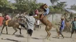 Das Training der Kinderjockeys