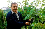 Alfred Böhm.
