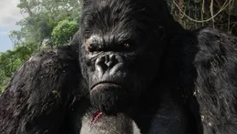 "KING KONG" - Artwork