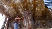 Behind the scenes of a cameraman filming John Daniels in the carving cabana preparing to carve a log.
