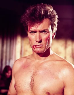 Obwohl die Bande um den entflohenen M&ouml;rder Ringerman brutal mit Coogan (Clint Eastwood) umgesprungen ist, h&auml;lt dieser an seiner Mission fest.