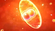 In the core of the sun, where the temperatures and pressure is so immense, hydrogen atoms and helium atoms can combine quickly together. This nuclear reaction is called fusion. CGI STILL