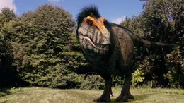 Ausschnitt Animation: Durch 3D-Aufnahmen von versteinerten T. Rex-Knochen kommen Dinoforscher zu dem Schluss, dass selbst der gef&auml;hrlichste aller Raubsaurier gefiedert wie ein Vogel war.