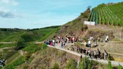 Der Rotweinwanderweg durch das Ahrtal und seine Weinberge verbindet Bewegung mit Genuss.