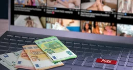 Die Sexbranche boomt &ndash; vor allem im Internet. Weltweit werden bis zu 12,6 Millionen Euro umgesetzt, t&auml;glich! Mit 4,5 Milliarden Aufrufen pro Monat gilt Pornhub als Marktf&uuml;hrer weltweit.