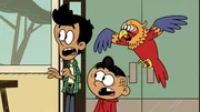 Bobby, Carl und Sergio beobachten Bobbys Freundin Lori.