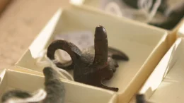 Die vermeintliche Dominanz der M&auml;nnlichkeit zeigt sich in Phallusdarstellungen.