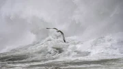 Besonders im Winter zeigen die Seen ihre wahre Kraft – Wellenberge türmen sich meterhoch auf.