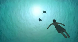 Ein Mann schwimmt zusammen mit Schildkr&ouml;ten im Wasser.
