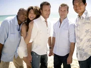 (5. Staffel) - Im Kampf gegen das organisierte Verbrechen: Steve (Alex O'Loughlin, M.), Danny (Scott Caan, 2.v.r.), Chin (Daniel Dae Kim, r.), Kono (Grace Park, 2.v.l.) und Lou (Chi McBride, l.) (5. Staffel) - Im Kampf gegen das organisierte Verbrechen: Steve (Alex O'Loughlin, M.), Danny (Scott Caan, 2.v.r.), Chin (Daniel Dae Kim, r.), Kono (Grace Park, 2.v.l.) und Lou (Chi McBride, l.)
