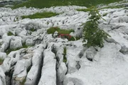 Totes Gebirge, Karstplateau.