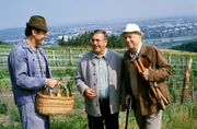 "Der Leihopa", "Der Herbst in unserem Leben." Bei einem Herbstspaziergang durch die Weinberge Grinzings stoßen Waldemar und sein Freund Franz auf einen kleinen, gemütlichen Heurigen fernab von jedem Trubel. Die Besitzer sind gerade bei der Weinlese, so muss sich die 13-jährige Carmen um die Gäste kümmern. Zu Waldemar fasst sie schnell Vertrauen und erzählt ihm ihre Schulprobleme. Besonders Mathematik macht ihr Kopfzerbrechen, und überhaupt würde sie viel lieber in die Haushaltsschule gehen, aber ihre Mutter will unbedingt, dass sie studiert. Waldemar und Franz beschließen, Carmen zu helfen.Im Bild (v.li.): Ottwald John (Josef Mader), Alfred Böhm (Waldemar Herzog), Hans Holt (Franz Maierhofer).