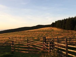 Soboth - Dreieckalm im Schilcherland.