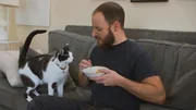 Cat trying to eat guardians food.