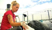 Jenny Ann Byl kommuniziert mit einer Kombination aus Handzeichen und Sprache mit ihren Robben.
