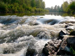 Wo einst hohe Gebirge aus den Urmeeren emporragten und heute eine sanfte, h&uuml;gelige Landschaft das n&ouml;rdliche Waldviertel pr&auml;gen, entspringt ein Fluss, der bis zu seiner M&uuml;ndung in die Donau eine faszinierende Vielfalt an geologischen Gegebenheiten durchflie&szlig;t: der Kamp. Es ist die Lebensader f&uuml;r eine vielf&auml;ltige Flora und Fauna, aber auch f&uuml;r die Menschen, die hier im Lauf der Zeit eine spezifische Lebenskultur entwickelt haben. Der Film verfolgt den Fluss im Wandel der Jahreszeiten - eine spannende Reise durch ein faszinierendes Tal und seine Geschichte.