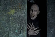Ob das am Alter liegt? Der 8000-j&auml;hrige Petyr (Ben Fransham) hat h&auml;ufig schlechte Laune.