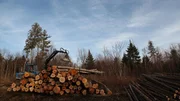Loading Logs.