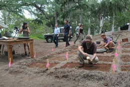 L-R: Vedette Lim als Dr. Isabelle Lono, Scott Caan als Danny "Danno" Williams, Alex O'Loughlin als Steve McGarrett