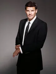 Seeley Booth (David Boreanaz)