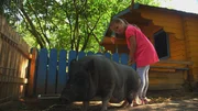 Lisa pflegt ihr Schwein.