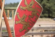 Medieval shield.