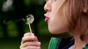 In den Lach- und Sachgeschichten wird gezeigt, was man noch alles mit dem Mund machen kann. In den Lach- und Sachgeschichten wird gezeigt, was man noch alles mit dem Mund machen kann.