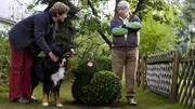 Löwenzahn - Hunde - Keks ist verschwunden 6