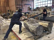 Holzarbeiter in der Werkstatt