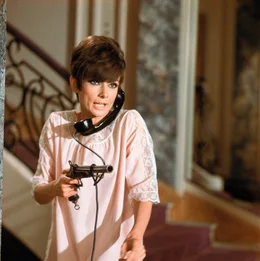 Nicole (Audrey Hepburn) ist fest entschlossen, die Familienehre diskret zu retten ...