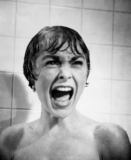 In einem abgelegenen Motel nimmt Marion (Janet Leigh) eine Dusche - die letzte ihres Lebens ...