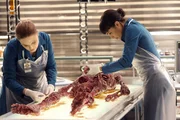 Brennan (Emily Deschanel, l.) und Cam (Tamara Taylor) untersuchen die Leiche eines Secret Service-Agenten, die von einem Studenten entdeckt wurde. Könnte der bevorstehende Besuch des Präsidenten etwas mit dem Tod des Agents zu tun haben?