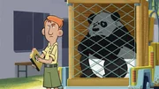 Dietmar, der Betreuer von Huan, schaut bei der Suche nach einem neuen Zuhause für den Panda ganz genau darauf, dass alles nach Vorschrift läuft. Dietmar, der Betreuer von Huan, schaut bei der Suche nach einem neuen Zuhause für den Panda ganz genau darauf, dass alles nach Vorschrift läuft.