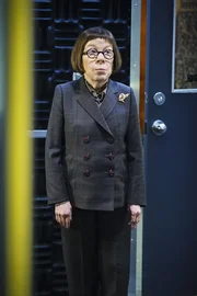 Hat einen neuen Auftrag für ihr Team: Hetty (Linda Hunt) ...