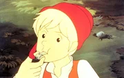 Der kleine Junge Nils Holgersson