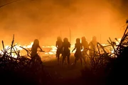 Die Nutzung des Feuers war ein großer Fortschritt in der Menschheitsentwicklung. Homo erectus gelang es als Erstem, die Naturgewalt zu bändigen - und zwar weltweit fast zur selben Zeit.