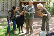Tierärztin Dr. Mertens (Elisabeth Lanz, l.) untersucht das Alpaka. Unterstützt wird sie dabei von ihrer Assistentin Annett (Anna Bertheau, r.) und einer Mitarbeiterin des Zoos (Komparsin, M.).