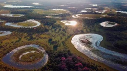 &Uuml;berall im s&uuml;dliches Pantanal gibt es Seen, die das Land wie riesige Punkte &uuml;bers&auml;hen