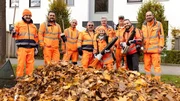 Der Herbst-Check 2