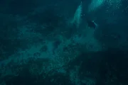 Darrell Miklos und Steve Smith tauchen im markierten Zielgebiet in der Bucht von Campeche, Mexiko. Darrell Miklos und Steve Smith tauchen im markierten Zielgebiet in der Bucht von Campeche, Mexiko.