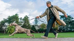 Jetzt aber los! Hermann (Walter Sittler) wird von Hannes Hund Rudi mitgezogen