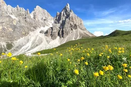 Fr&uuml;hling im Naturpark Paneveggio Pale di San Martino