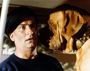 Zur&uuml;ck in Frankreich, erf&auml;hrt Bosquier (Louis de Fun&egrave;s), dass Shirley abgehauen ist und sich mit dem richtigen Philippe auf einem Boot auf der Seine befindet. Der Schuldirektor eilt dem nichtsahnenden Liebesp&auml;rchen hinterher und verwickelt sich in allerlei chaotische Situationen, bevor er beide schlie&szlig;lich doch einfangen kann.