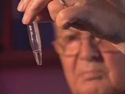 Medical Detectives - Geheimnisse der Gerichtsmedizin