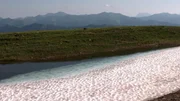 Schneelache Lachtal.