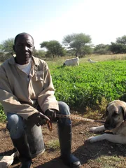 Armas with Anatolian dog sitting.