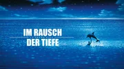 Plakat zu "Im Rausch der Tiefe". Weiteres Bildmaterial finden Sie unter www.br-foto.de.